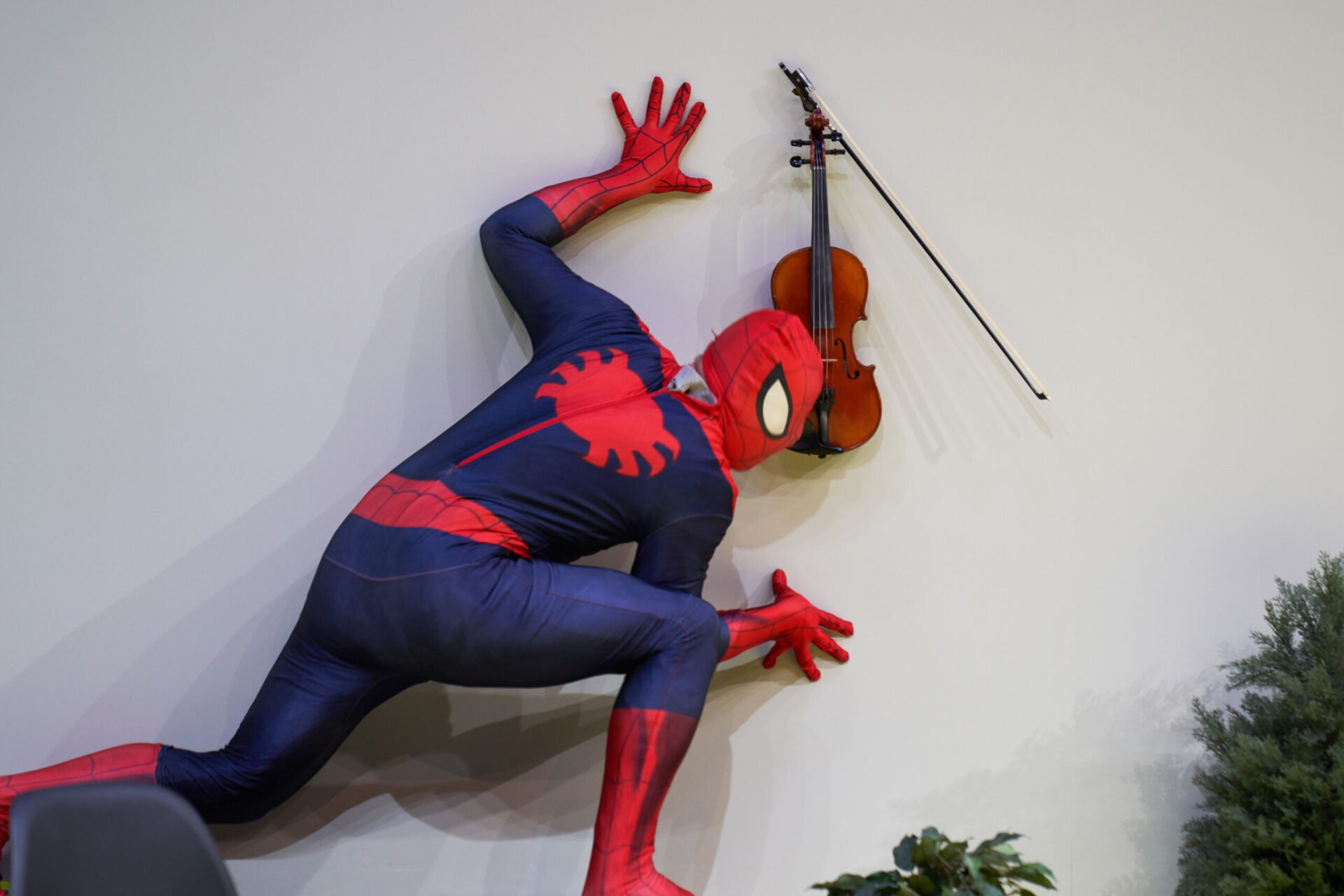 En mann i spidermanndrakt kryper opp en vegg der det henger en fiolin.